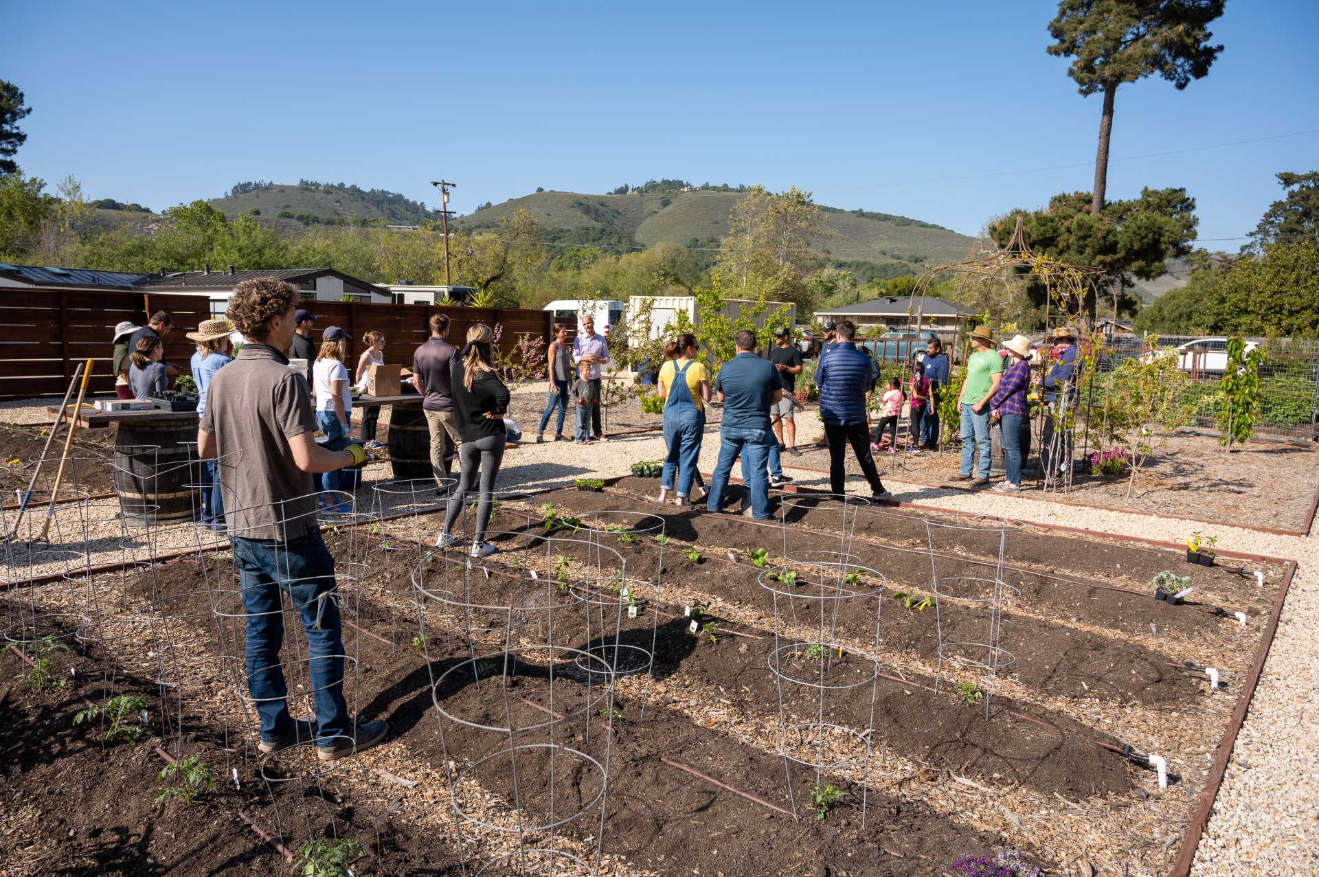 Company-Farm-Day
